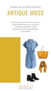 fall color outfit inspiration guide yellow antique moss